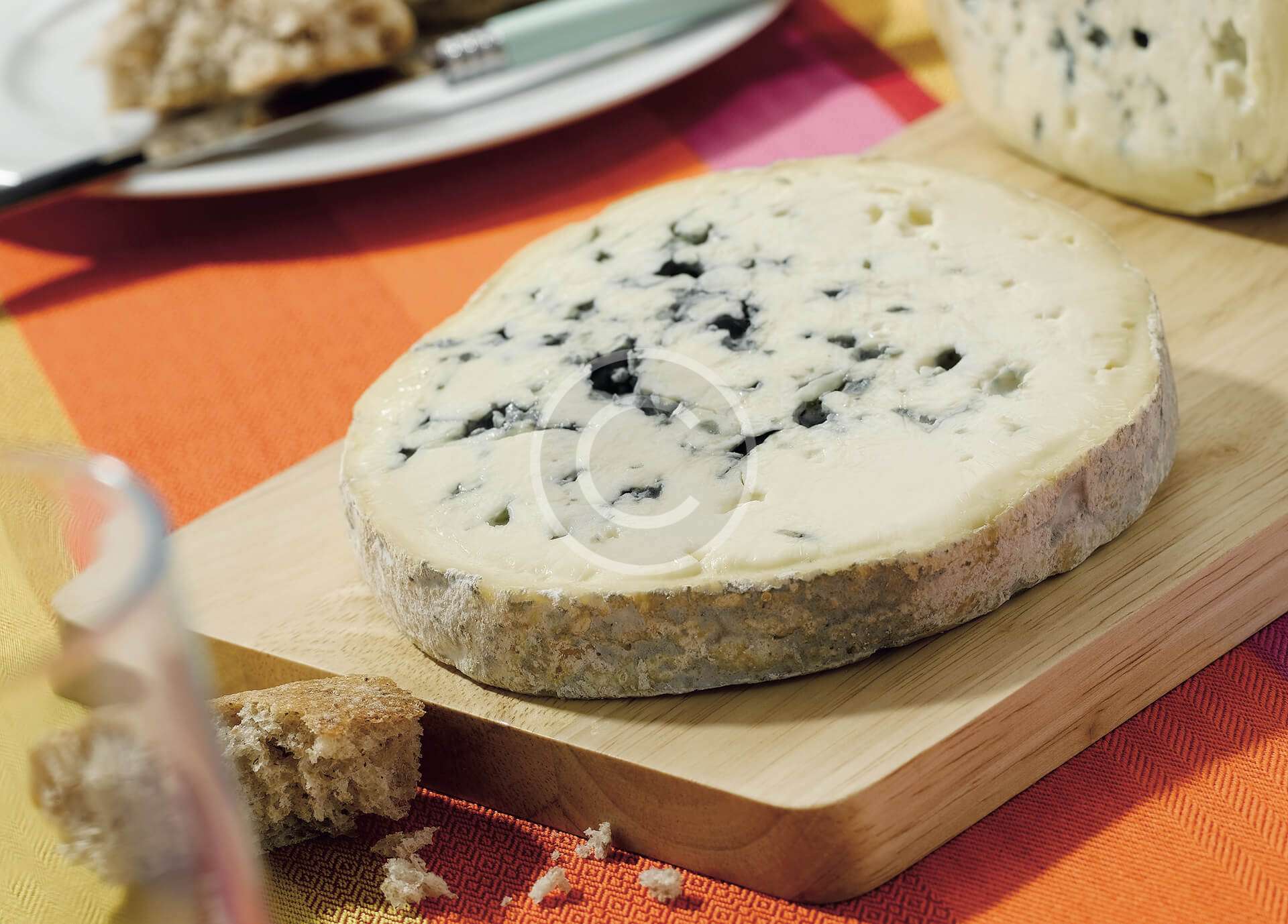 Gorgonzola Cheese