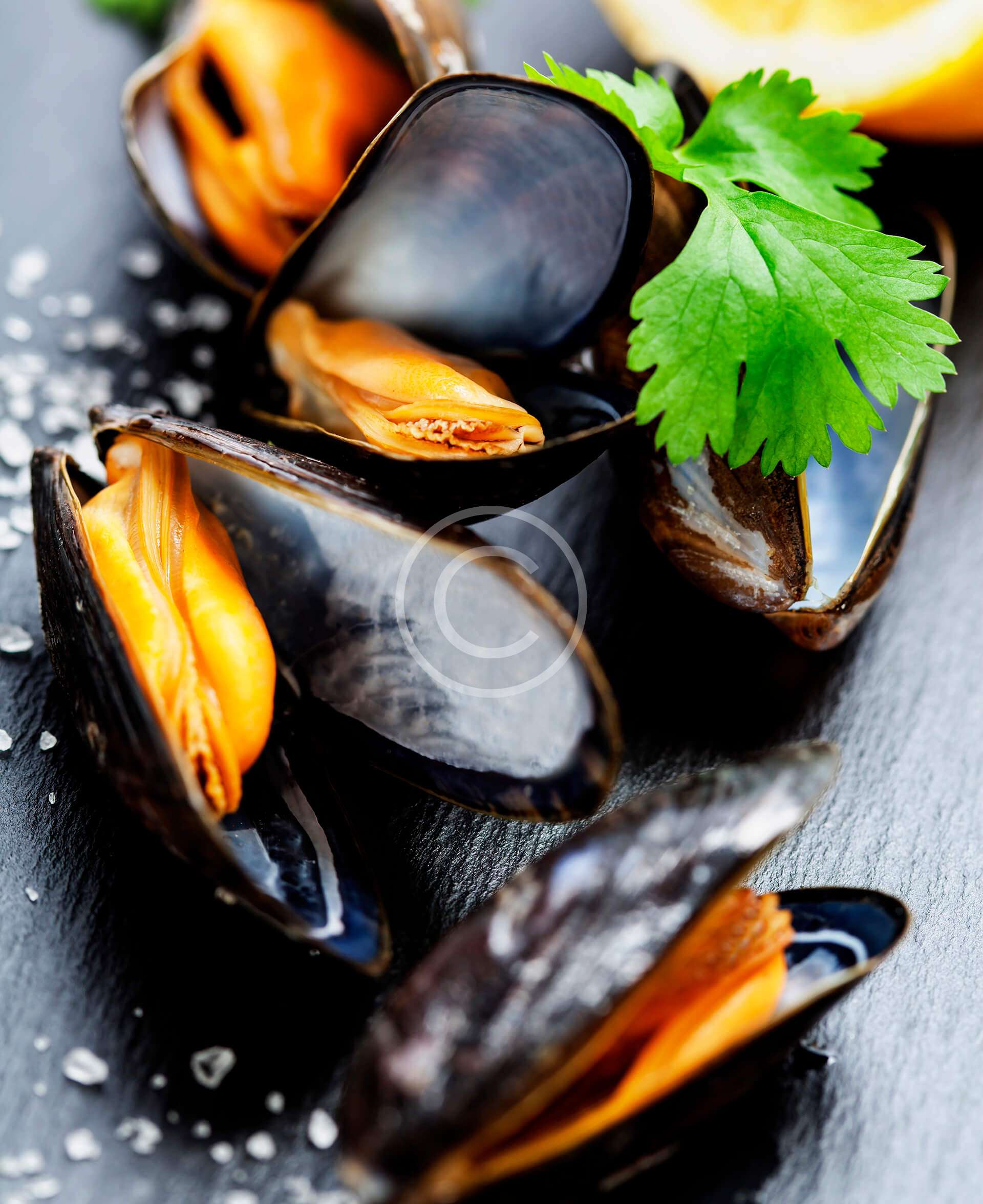 Steamed Mussels